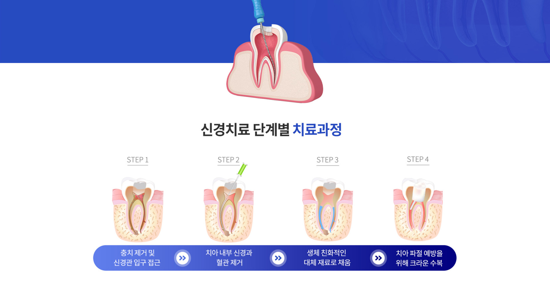 서울베리굿치과